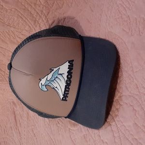 Patagonia Snap Back